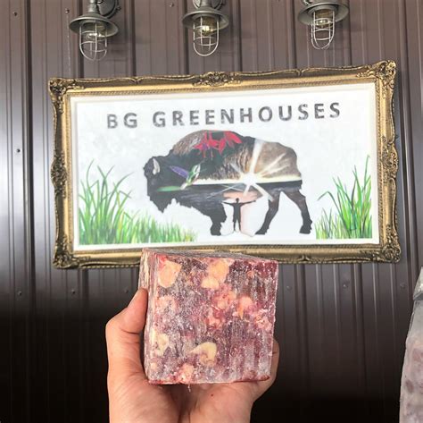 BISON MEAT | BG GREENHOUSES