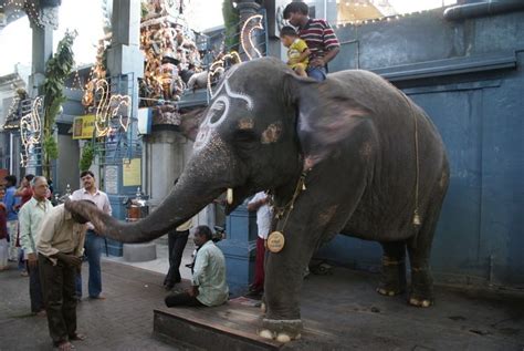 Manakula Vinayagar Temple - Alchetron, the free social encyclopedia