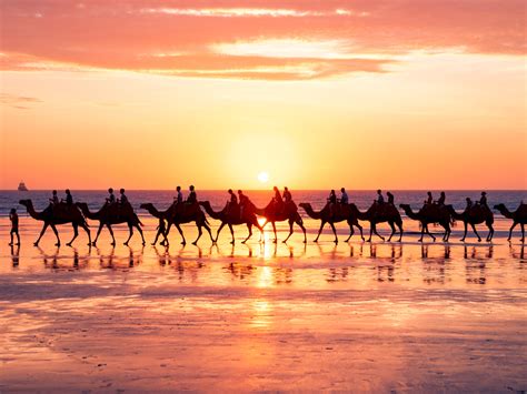 The Iconic Camel Rides In Broome Guide - Australian Traveller