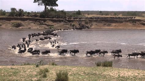 Serengeti National Park Rivers | Serengeti Safari Tours | Serengeti Tours