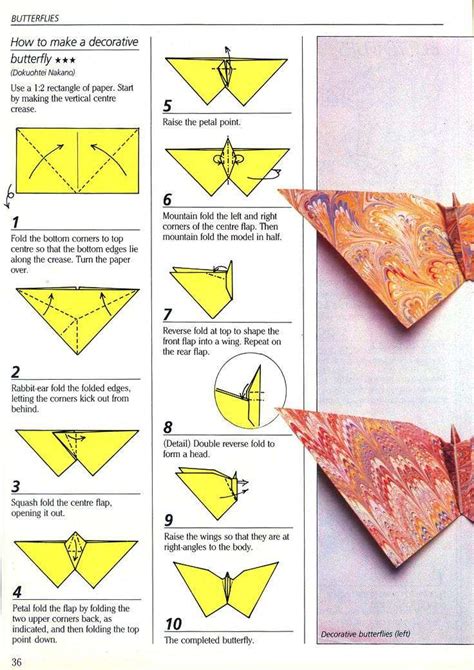 Types of butterfly origami - miloholdings