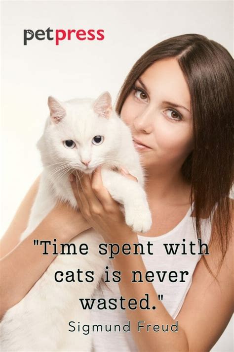 Unleashing Purr-fection: 50+ Crazy Cat Lady Quotes to Inspire Your Day