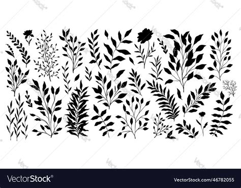 Set of branch and leaves collection floral hand Vector Image