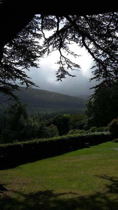 Tollymore forest park Forest Park, Northern Ireland, Celestial, Sunset, Views, Nature, Outdoor ...