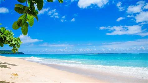 tropical blue ocean sky beach holiday wallpaper desktop laptop ...