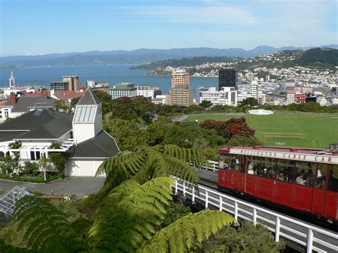 THE 10 BEST Things to Do in Wellington (2024) - Must-See Attractions