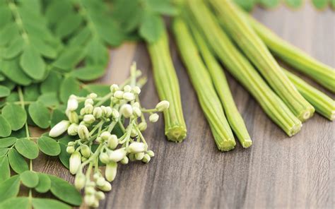 THE WONDER OF A MORINGA TREE - Explore Sri Lanka