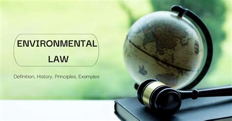 Environmental law: Definition, History, Principles, Examples