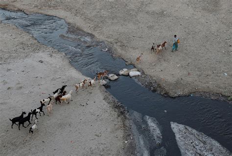 Photos show how industrial pollution and human waste are killing India ...