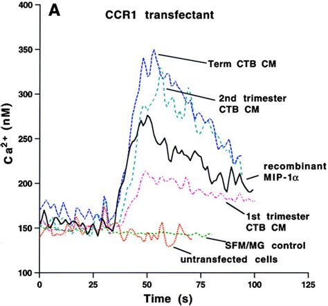 Cytotrophoblast CM signals through MIP-1α receptors. Cytotrophoblast ...