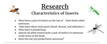 Reference Books & Research: Characteristics of Insects by Fox Wordsmithing