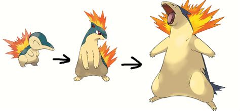 Cyndaquil Evolution by superfoxdeer on DeviantArt