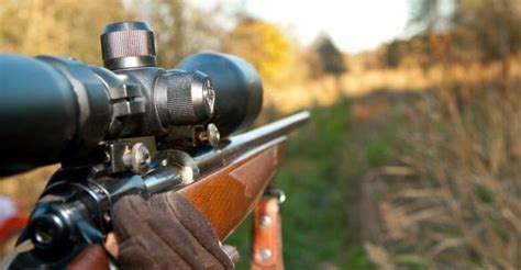 How to use a rifle scope for hunting? – Average Outdoorsman