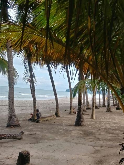 Tela, honduras | Picture, Outdoor, Beach