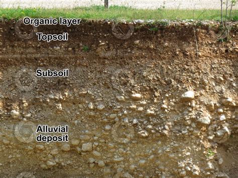 Alluvial soil. Cross section - Soil cross section - Types of soil structure - Rocks and ...