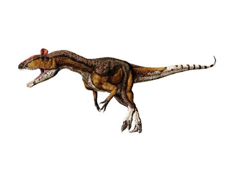 Cryolophosaurus Facts, Habitat, Diet, Fossils, Pictures