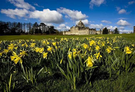 THE 15 BEST Things to Do in York (2024) - Must-See Attractions