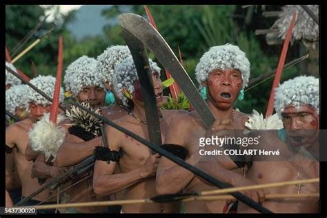 Yanomami Indigenous People Photos and Premium High Res Pictures - Getty ...