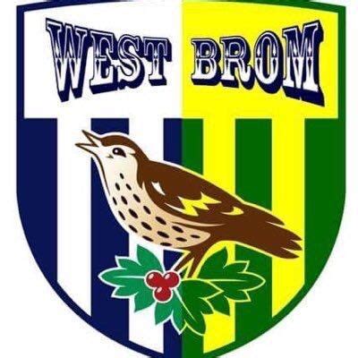 162 best west brom images on Pinterest | West bromwich albion fc, West ...