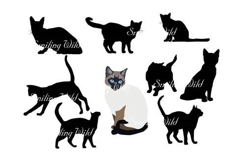 Siamese cat silhouette vector graphic art svg Siamkatze png | Etsy