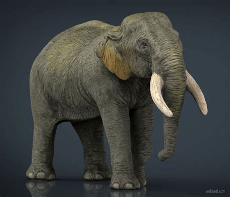 20 Realistic 3D Animal Models and character designs