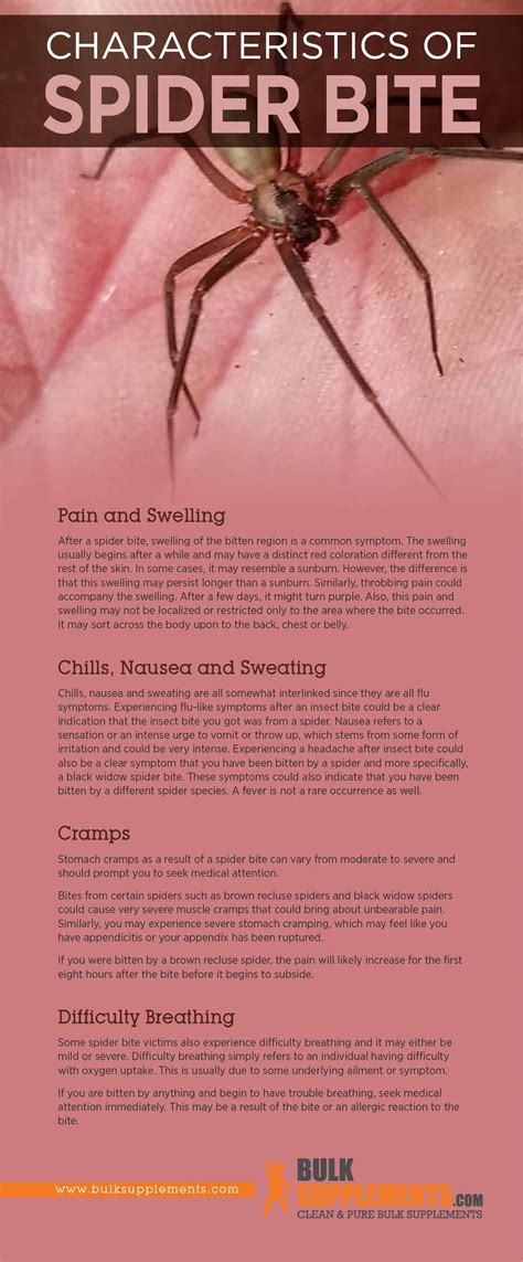 Spider Bite: Characteristics, Causes & Treatment by James Denlinger