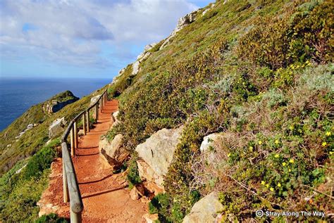 Cape Point Nature Reserve - Stray Along The Way