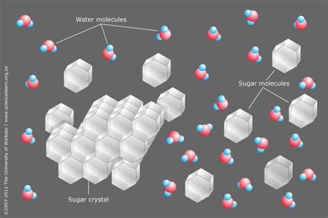 Sugar dissolving in water — Science Learning Hub