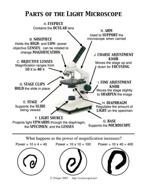 Microscope parts | PDF