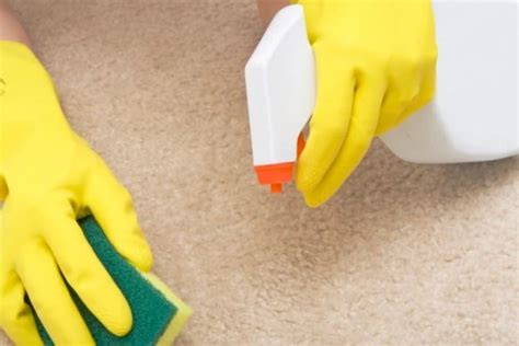 How To Remove Rabbit Urine Stains From Wooden Floor | Floor Roma