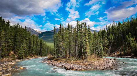 Visit Sunwapta Falls: Best of Sunwapta Falls Tourism | Expedia Travel Guide