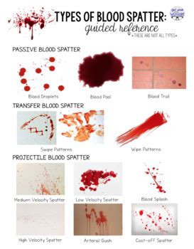 Forensics | Blood Spatter Analysis Create-A-Crime-Scene Final Project (EDITABLE)