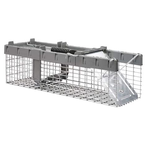 Lowes Humane Chipmunk Trap Huge Discount | www.oceanproperty.co.th