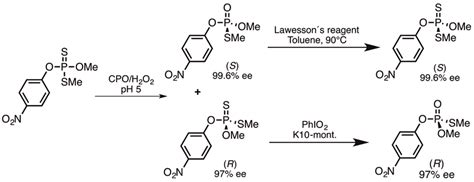 Chemo-enzymatic synthesis of methyl parathion and its oxon. | Download ...