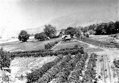 Mendocino County history: Agriculture, and other news from 1915 – The ...