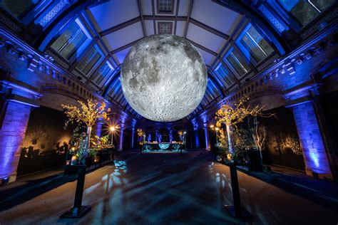 Night at the Museum of the Moon - Mary Jane Vaughan - creative florists in Battersea, London