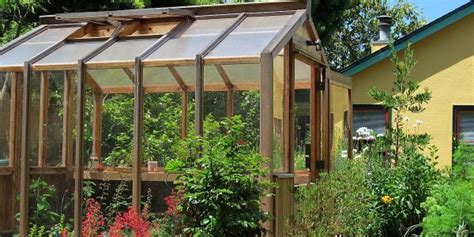 The History of Greenhouses: Why they are Called a "Greenhouse" - Organize With Sandy