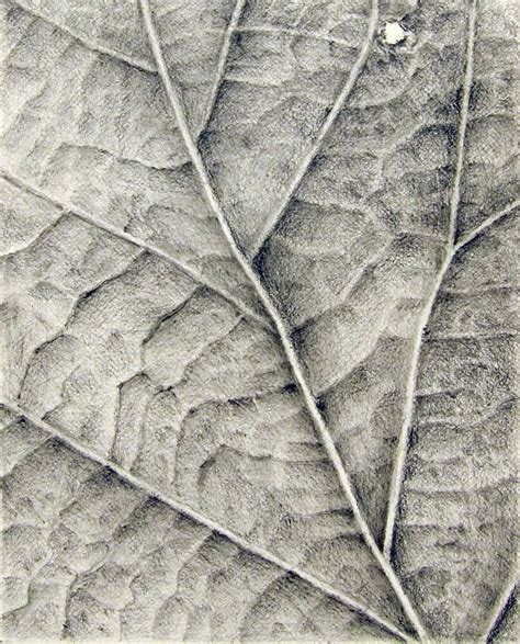 Image result for leaf texture drawing | Eskiz, Çizim, Görsel sanatlar