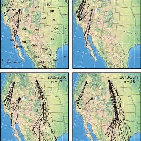 (PDF) Annual migratory patterns of Long-billed Curlews in the American West