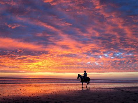 Horse Sunset Wallpaper | Sunset wallpaper, Horse wallpaper, Sunset background