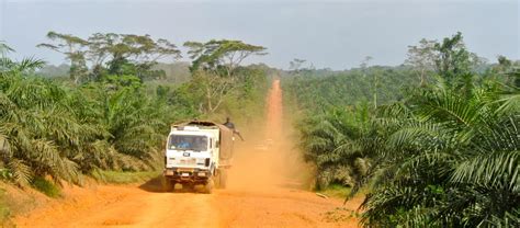 Confirmed: palm oil company destroys rainforest in Liberia - Rainforest ...