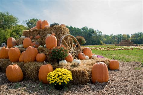 Pumpkin Patches & Fall Activities - Windermere/North