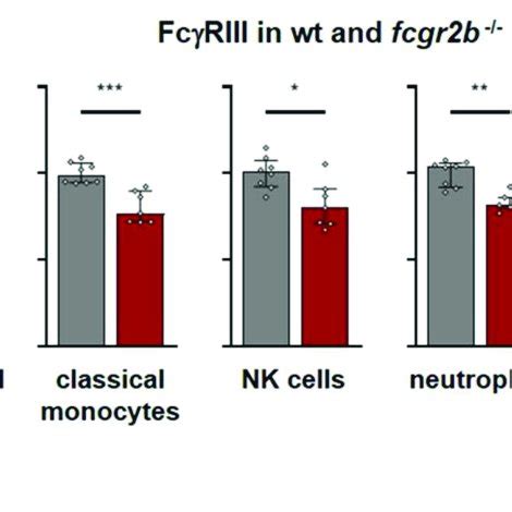 | Fc gamma receptors on human peripheral blood leukocytes. Depicted are... | Download Scientific ...