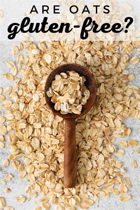 Are Oats Gluten-Free? (IT DEPENDS!) - Meaningful Eats