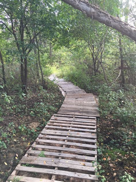 Pallet walkway | Pallet walkway, Walkways paths, Walkway landscaping