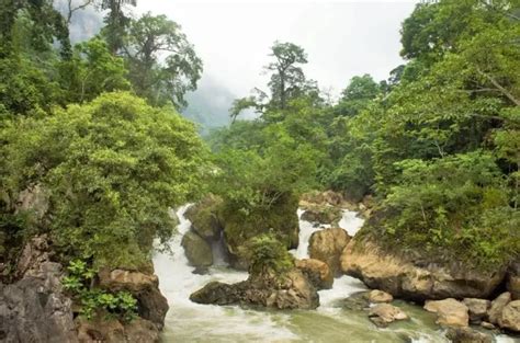 The 10 Most Beautiful National Parks in Vietnam | Izitour