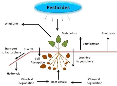 The environmental fate of pesticides | Download Scientific Diagram