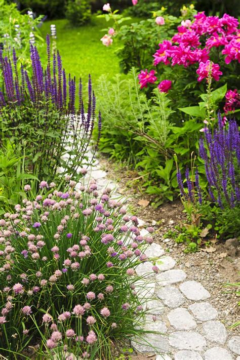 How to Design an Old-Fashioned Cottage Garden | Gardener's Path