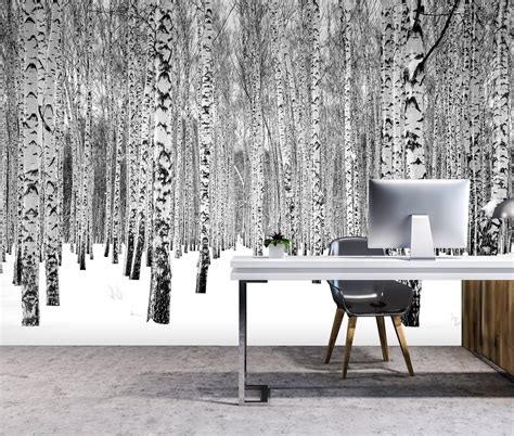 Winter Birch Tree Forest Photo Wallpaper Self Adhesive - Etsy