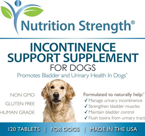 How To Help Incontinence In Dogs